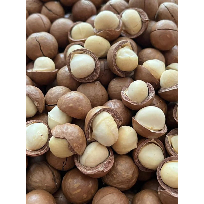500gr Hạt Macca Lai Châu nhà trồng size A (hạt macca sấy nứt vỏ,hạt đều đẹp giòn,thơm,không hôi dầu)