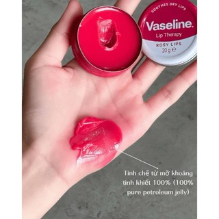 SON DƯỠNG VASELINE LIP THERAPY LIMITED EDITION DẠNG HŨ 20g