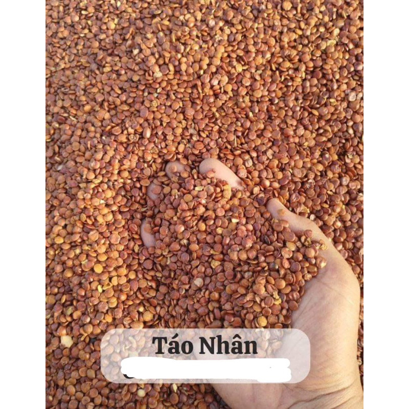 500GR Táo Nhân Bắc ( Sạch, Đẹp ) Loại 1