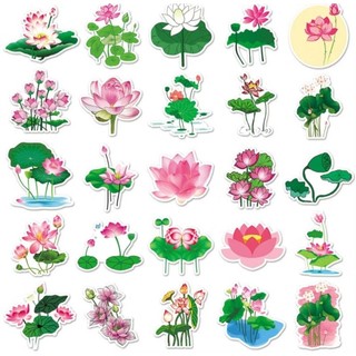 Set 10 30 50 sticker hoa sen dán nón mũ bảo hiểm laptop vali sổ tay đàn guitar điện thoại tủ lạnh xe máy