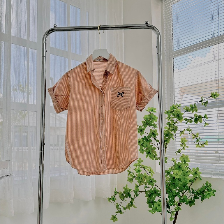 Áo Sơ Mi Nữ Kẻ Sọc Tay Ngắn Gập Gấu Thêu Nơ, Sơ Mi Nữ Chất Cotton Xịn Form Vừa Xinh