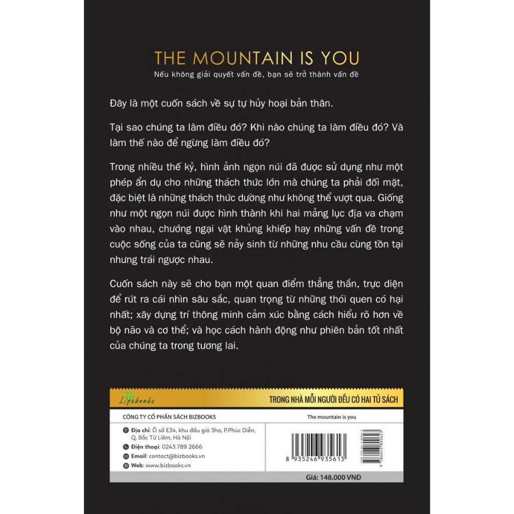 BỘ 2 SÁCH: The mountain is you: Nếu không giải quyết vấn đề, bạn sẽ trở thành vấn đề & Cracked It: Bẻ khóa mọi vấn đề