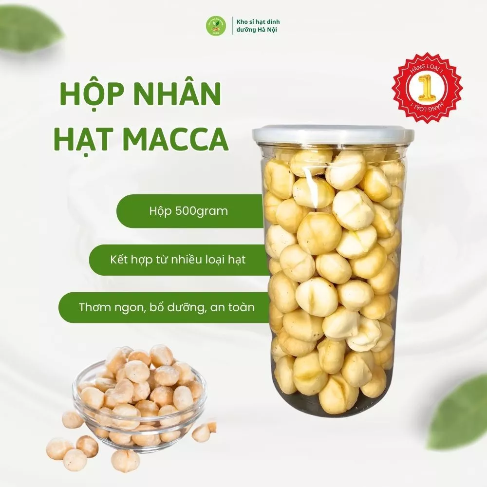 Hạt Macca sấy tách vỏ, nhân mắc ca Đăk Lăk nguyên hạt hộp 500g, hạt dinh dưỡng ăn liền