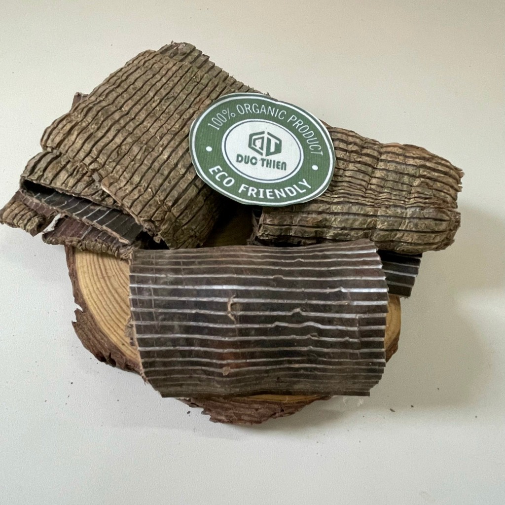 Đỗ Trọng Khô Miếng To Đẹp 200g – Bổ Thận Tráng Dương, Mạnh Gân Cốt, Điều Hòa Huyết Áp, An Thai