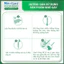 NexGard COMBO - Ống nhỏ gáy phòng & trị nội, ngoại ký sinh trùng dành cho Mèo - 1 hộp 3 ống