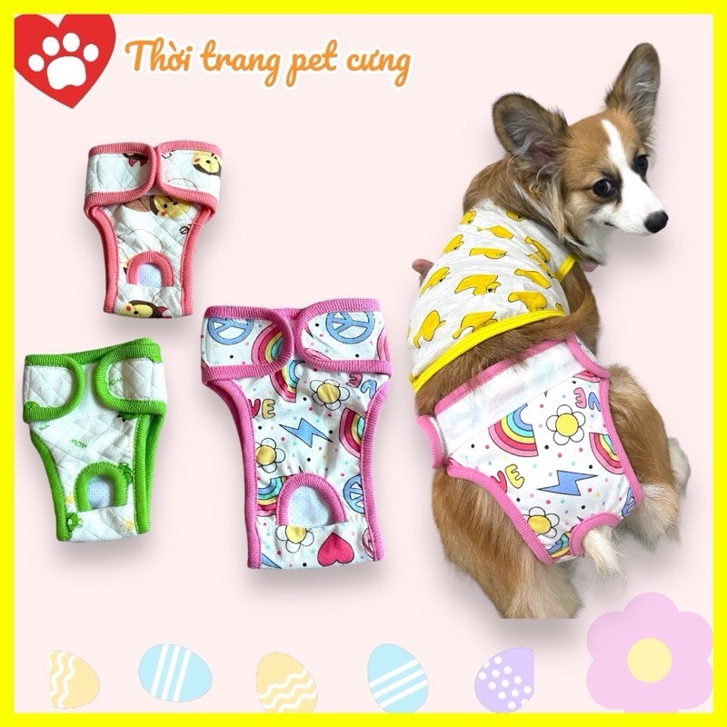 Quần Tã Cho Cún Cái - Đực Chống Tuột Có Đai Điểu Chỉnh