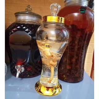 [Kho sỈ] 
Bình Ngâm Rượu Sâm Thủy Tinh Phú Hòa Không Van Cao Cấp 1L,, 2L, 3L, 4L, 5L, 6L, 8L