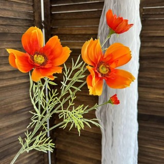 Hoa Cúc Sao 5 bông cao cấp - trang trí nhà cửa, decor cửa hàng, cắm bình hoa...