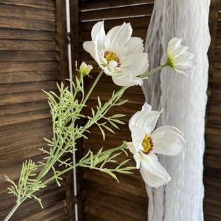 Hoa Cúc Sao 5 bông cao cấp - trang trí nhà cửa, decor cửa hàng, cắm bình hoa...