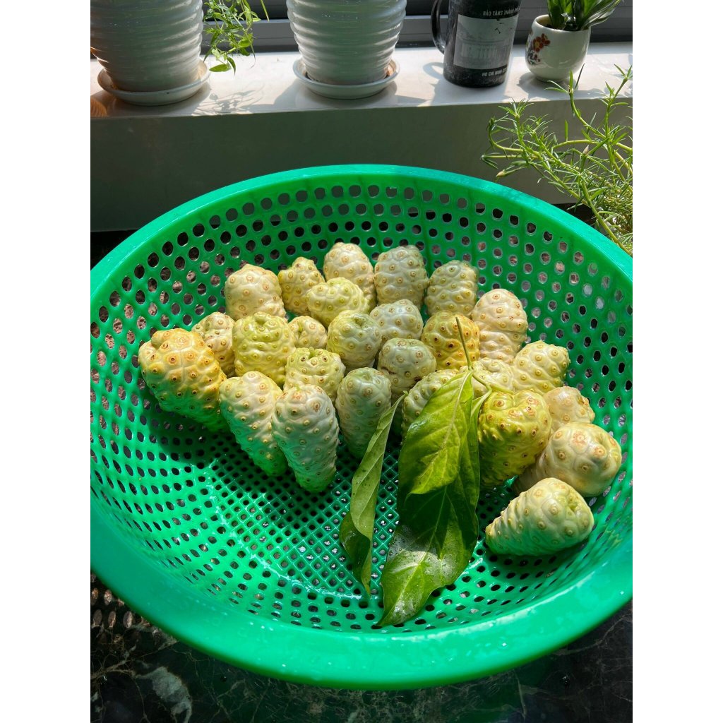 100ml nước cốt nhàu mật ong