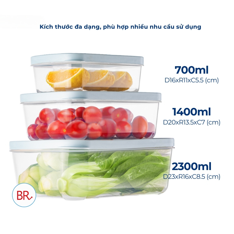 Combo 9 bộ hộp thực phẩm chữ nhật Hokori (MS:6533) Việt Nhật, Hộp bảo quản thức ăn, đồ đông lạnh an toàn tiện lợi 02074