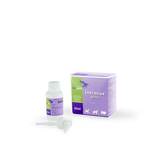 Interchemie INTRACOX PUMP chai 100ml kèm vòi bơm trị cầu trùng bảo vệ niêm mạc ruột ở chó mèo heo