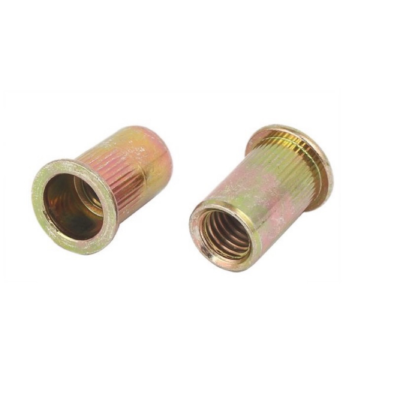 (Túi 100c) Tán rút M6, M10 đai ốc rút M6, M10 | Shopee Việt Nam