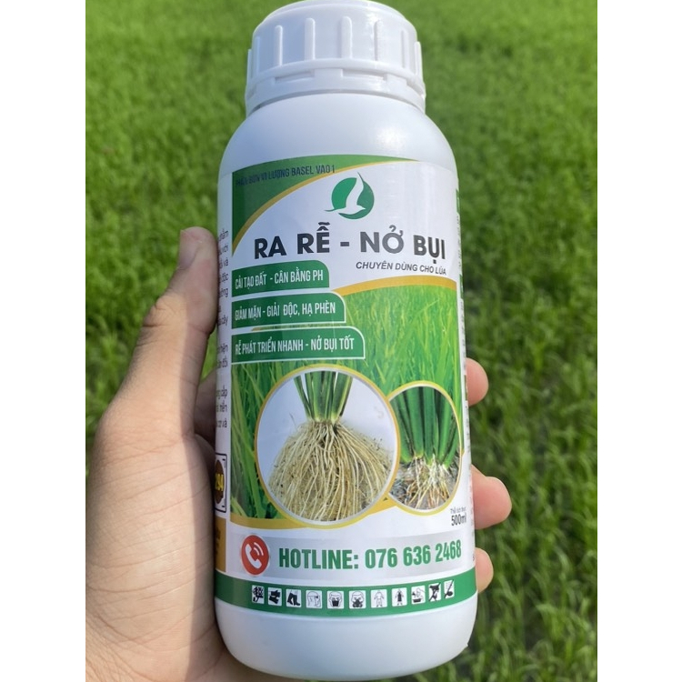 Phân bón Ra rễ nở bụi lúa 500ml - Giúp lúa ra rể mạnh, đẻ nhiều nhánh ...