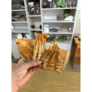 Măng Nứa Tây Bắc, Non, Giòn