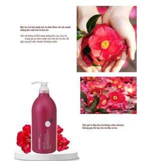 Dầu Gội Phục Hồi Tóc Hư Tổn Kumano Salon Link Extra Shampoo 1000ml