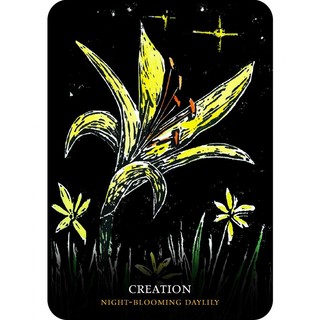 Bộ Bài Flowers of the Night Oracle (Mystic House Tarot Shop) - Bài Gốc Authentic Chính Hãng 100%