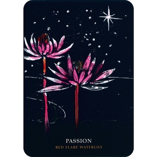 Bộ Bài Flowers of the Night Oracle (Mystic House Tarot Shop) - Bài Gốc Authentic Chính Hãng 100%