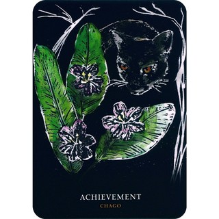 Bộ Bài Flowers of the Night Oracle (Mystic House Tarot Shop) - Bài Gốc Authentic Chính Hãng 100%