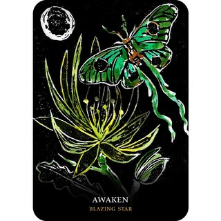 Bộ Bài Flowers of the Night Oracle (Mystic House Tarot Shop) - Bài Gốc Authentic Chính Hãng 100%