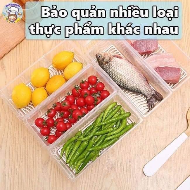 Hộp nhựa đựng thực phẩm có khay - Hộp trong suốt