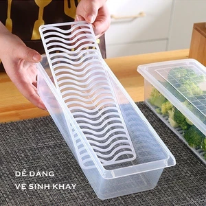 Hộp nhựa đựng thực phẩm có khay - Hộp trong suốt