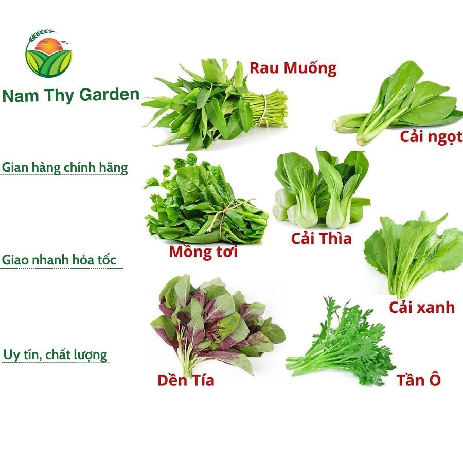 Hạt giống rau ăn lá: cải ngọt, cải kale, rau muống, mồng tơi, tần ô ...