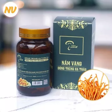 Đông Trùng Hạ Thảo Sấy Khô 10g Nấm Vàng Việt Nam Đông trùng hạ thảo sấy thăng hoa TH10G