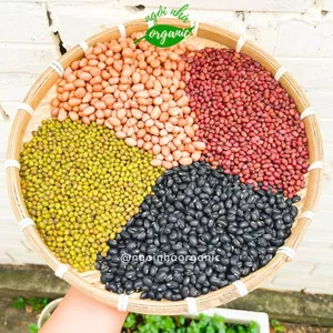 Đậu đen xanh lòng/đậu xanh/đậu đỏ/đậu phộng (lạc) giống thuần 200g - chưa rang