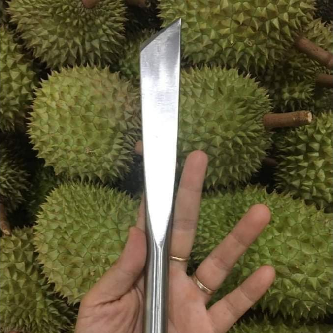 DAO KHUI, NẠY TRÁI SẦU RIÊNG DÀI 25cm INOX NGUYÊN KHỐI CÓ CÁN VUÔNG VÀ ...