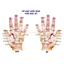 Bi 6 cạnh bằng gỗ thơm, dụng cụ mát xa lòng bàn tay hỗ trợ giảm đau mỏi, lưu thông khí huyết - Mỹ Nghệ HT