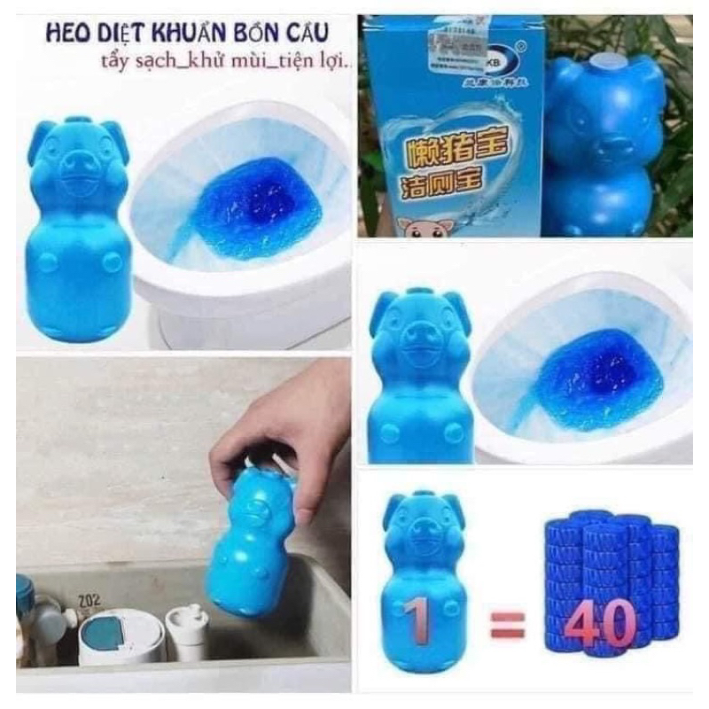 LỢN THẢ BỒN CẦU LỢN XANH