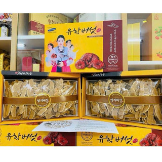 (Date 6/2027) Nấm Linh Chi Hàn Quốc Thái Lát Cô Gái Hộp 1Kg