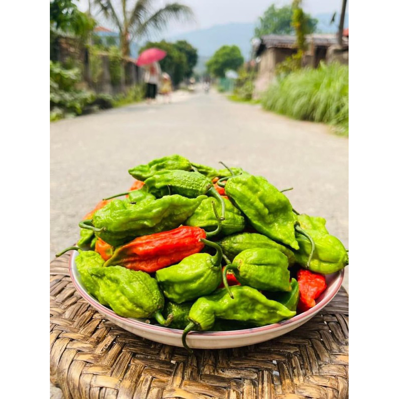 Ớt trung đoàn siêu cay nồng và cực thơm(ớt trung đoàn xóc muối) chuẩn Ka Lăng,Mường Tè Lai Châu 200groo