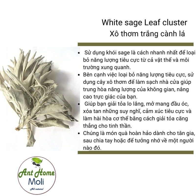 {QUÀ TẶNG} 100gr xô thơm trắng cành lá / hương thảo cành lá thanh tẩy ...