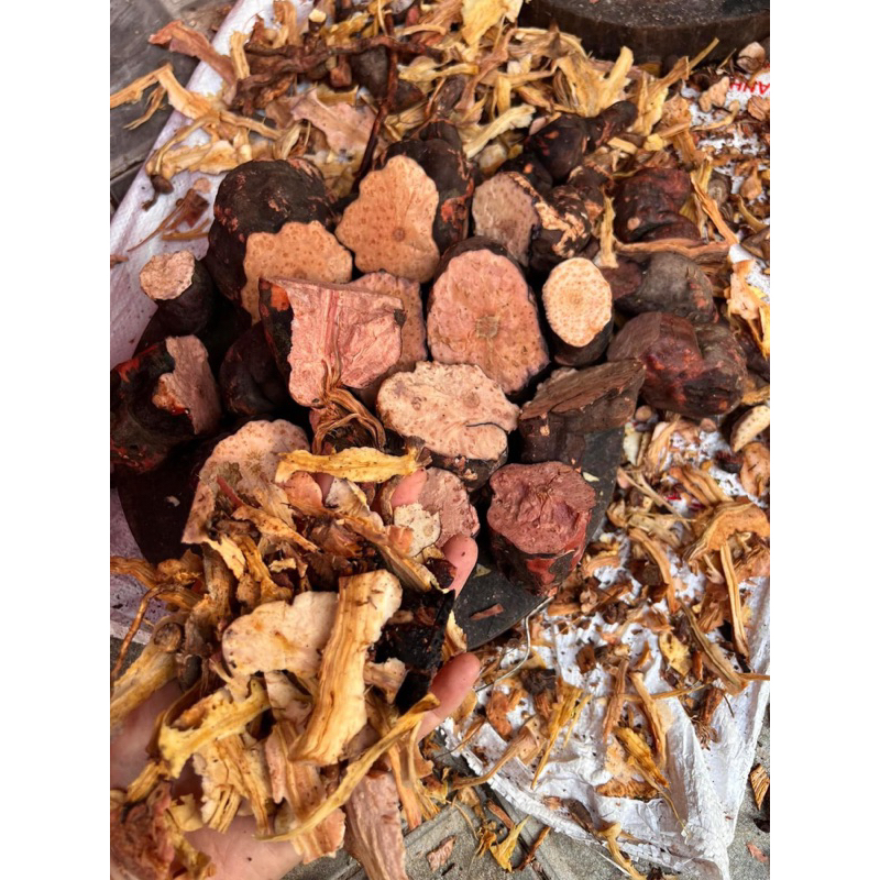 HÀ THỦ Ô ĐỎ CHẾ ĐỖ ĐEN CHUẨN NGUYÊN CHẤT (CỬU CHƯNG CỬU SÁI)1KG
