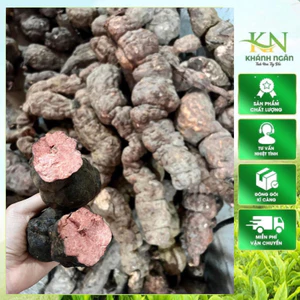 Hà thủ ô đỏ tươi nguyên củ 1kg – Củ to đẹp – Hàng rừng
