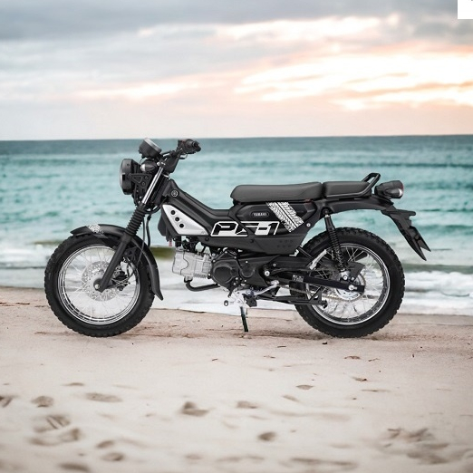 Bộ Decal Dán Xe PG1 Cho Dòng Xe Máy Yamaha PG1 | Shopee Việt Nam