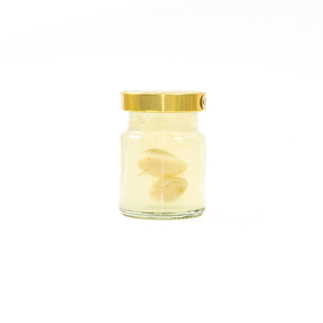 Hộp Quà 10 hũ yến chưng bạch quả Ginkgo biloba Song Phát bổ não cải thiện trí nhớ giúp cơ thể khỏe mạnh