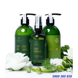 BỘ ĐÔI GIẢM RỤNG TÓC MỌC TÓC - Dầu gội bưởi kích mọc tóc Vijully 280ml + Nước xịt dưỡng tóc tinh dầu bưởi Vijully 100ml