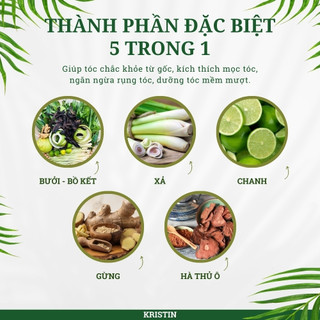 Dầu Gội Bưởi Bồ Kết Dược Liệu - Sạch Gàu, Ngăn Rụng Tóc, Mọc Tóc, Phục Hồi Tóc 500ml