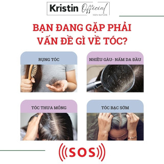 Dầu Gội Bưởi Bồ Kết Dược Liệu - Sạch Gàu, Ngăn Rụng Tóc, Mọc Tóc, Phục Hồi Tóc 500ml