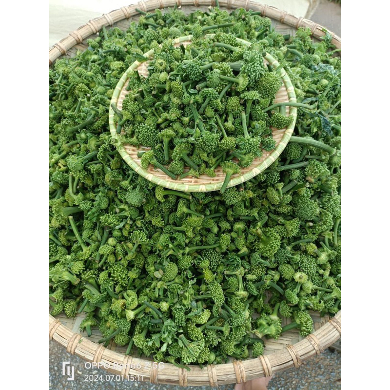 Nụ hoa tam thất Bắc – Nụ xanh tươi thơm – Nguyên liệu pha trà thảo mộc