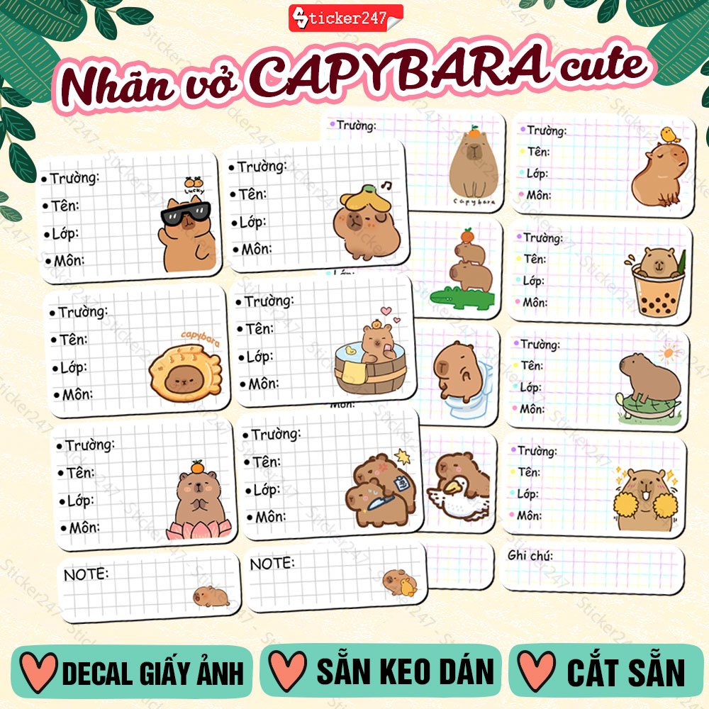 Nhãn Vở Capybara - Giấy Nhãn Capybara Cute, Meme, Classic - Nhãn Vở ...