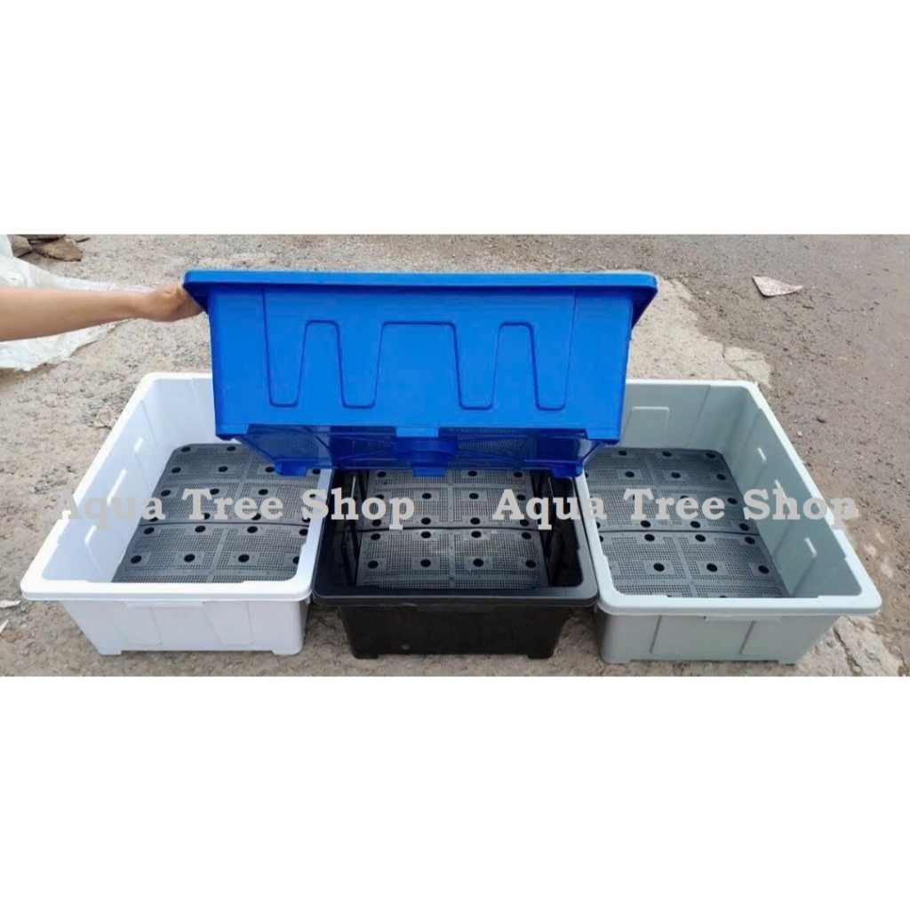 Khay trồng rau thông minh 45 lít (65x45cm cao 22cm), chậu trồng sen súng hàng siêu siêu đẹp luôn