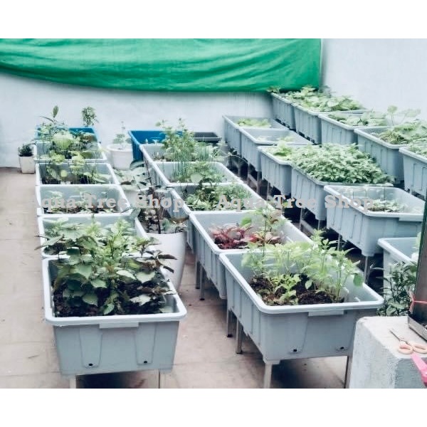 Khay trồng rau thông minh 45 lít (65x45cm cao 22cm), chậu trồng sen súng hàng siêu siêu đẹp luôn
