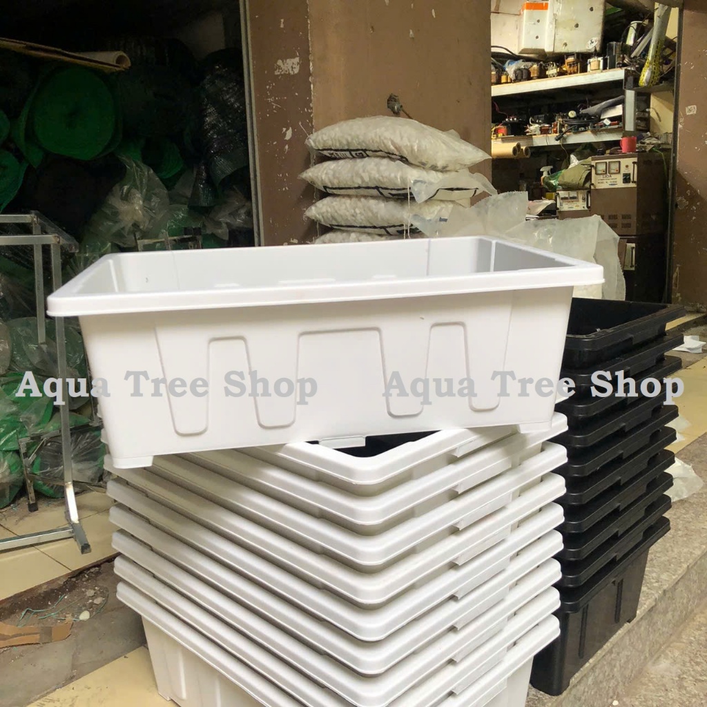 Khay trồng rau thông minh 45 lít (65x45cm cao 22cm), chậu trồng sen súng hàng siêu siêu đẹp luôn