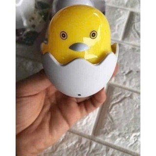 ĐÈN NGỦ TRỨNG GÀ CÃM ỨNG