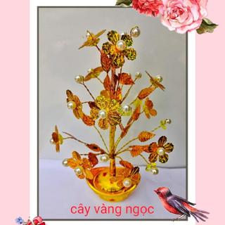 Cây Vàng Ngọc  - Sản Phẩm Trang Trí ngày tết Với Chất Liệu Nhựa Xi Vàng Decor Phòng Trang Trí Nhà