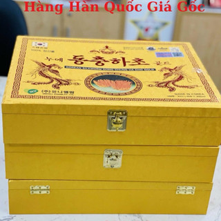 [Hàng Chính Hãng] Đông Trùng Hạ Thảo Hộp Gỗ Vàng - Hàn Quốc (dạng nước - 60 gói)